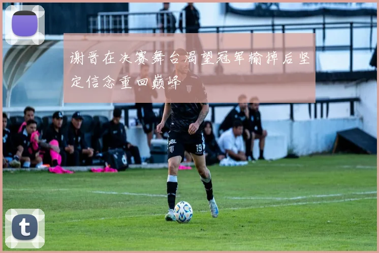 谢晋在决赛舞台渴望冠军输掉后坚定信念重回巅峰