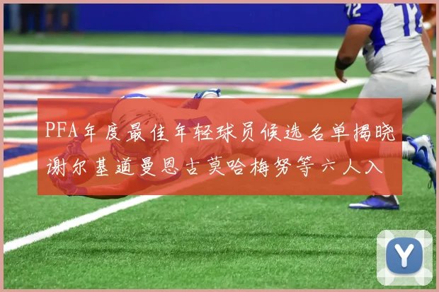 PFA年度最佳年轻球员候选名单揭晓谢尔基道曼恩古莫哈梅努等六人入围